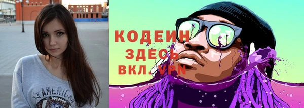 прущие грибы Новозыбков