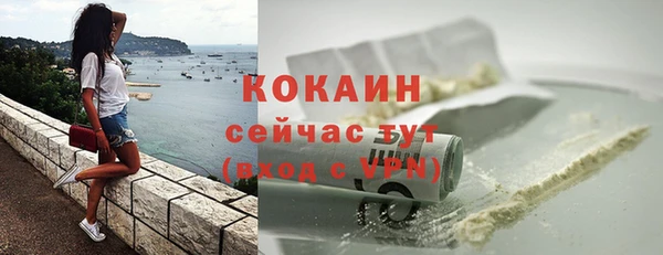 прущие грибы Новозыбков