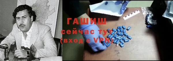 прущие грибы Новозыбков