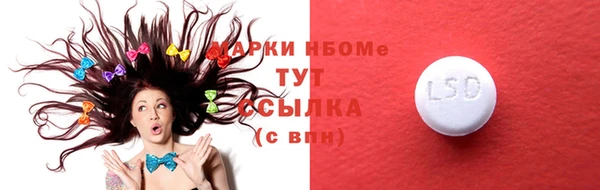 прущие грибы Новозыбков