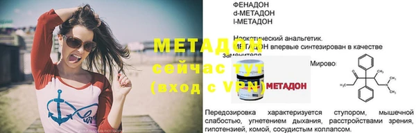 прущие грибы Новозыбков