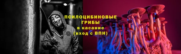 дживик Новокубанск