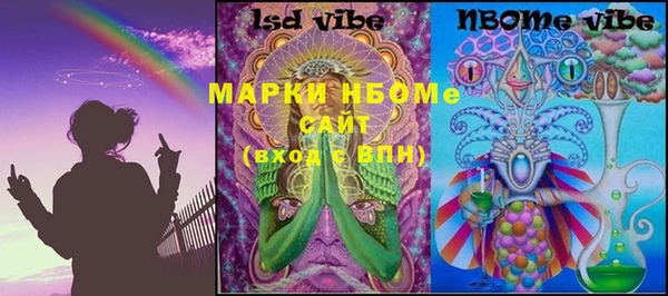 прущие грибы Новозыбков