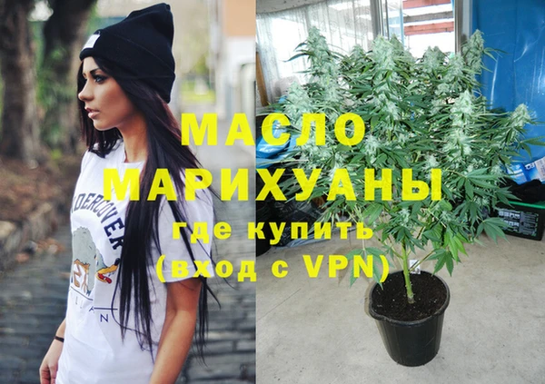 прущие грибы Новозыбков