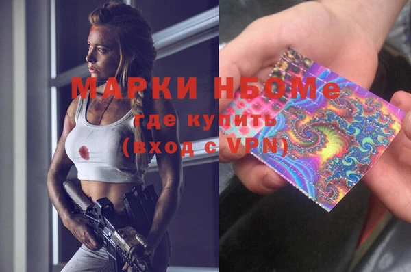 прущие грибы Новозыбков