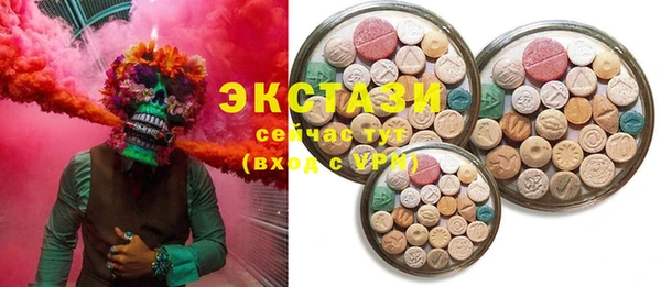 прущие грибы Новозыбков