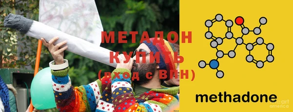 прущие грибы Новозыбков